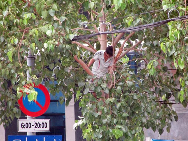 Người Sài Gòn leo cây, trèo cột điện đón ông Obama