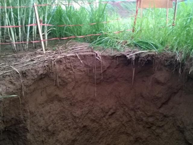 Tin tức trong ngày - “Hố tử thần” sâu 10m bất ngờ xuất hiện ở Thanh Hóa