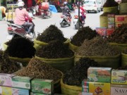 Sức khỏe đời sống - Hiểu đúng về thuốc đông y