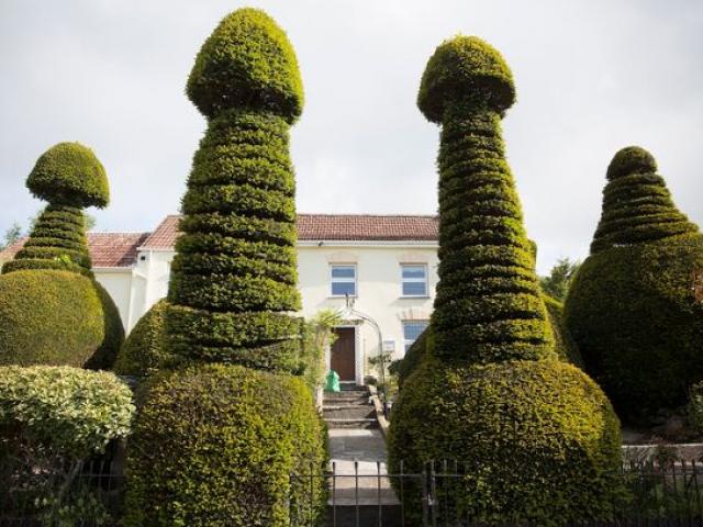 Biệt thự có hàng rào cây hình ”của quý” khổng lồ ở Anh