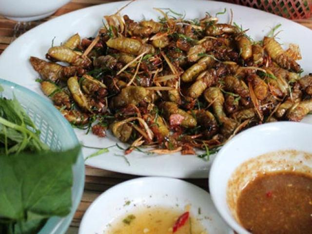 Sức khỏe đời sống - Quý ông ngộ độc vì bữa ăn nhộng ve sầu "đẳng cấp"