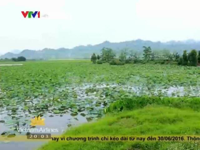 Du lịch - Về miền đất Phật chùa Hương