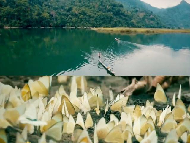 Du lịch - Ba Bể đẹp tựa xứ thần tiên mùa bướm trắng