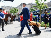 Bóng đá - Euro 2016: ĐT Anh mơ vô địch nhờ bùa hộ mệnh mới