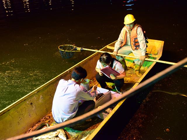 Trắng đêm vớt cá, sục oxy làm sạch hồ Hoàng Cầu