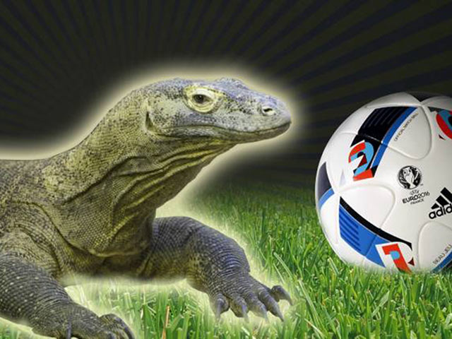 Bóng đá - Euro 2016: Lộ diện "nhà tiên tri" kế tục Bạch tuộc Paul