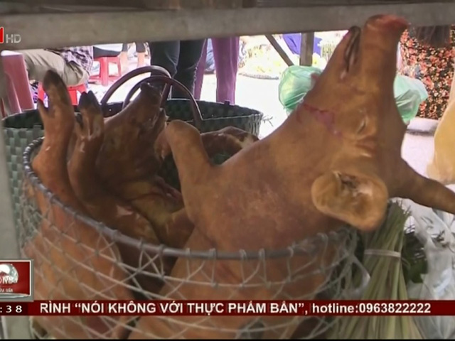 Tin tức trong ngày - Xử lý cơ sở "phù phép" lợn bệnh thành lợn mán