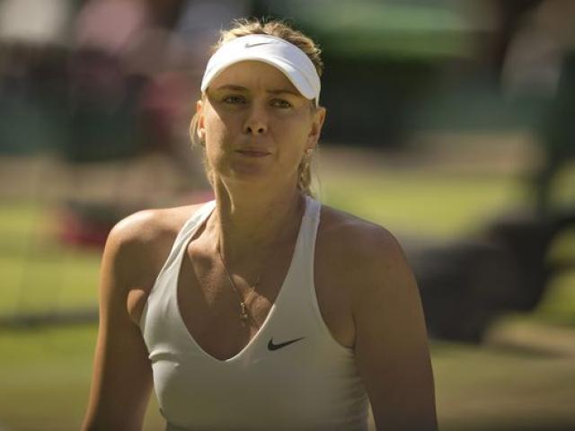 Thể thao - Sharapova "cáo già" chứ chẳng phải "thỏ non"