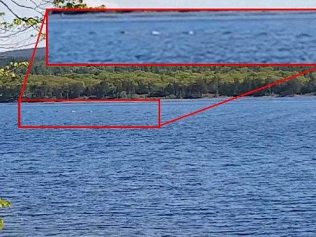 Video: Phát hiện dấu hiệu của quái vật hồ Loch Ness?