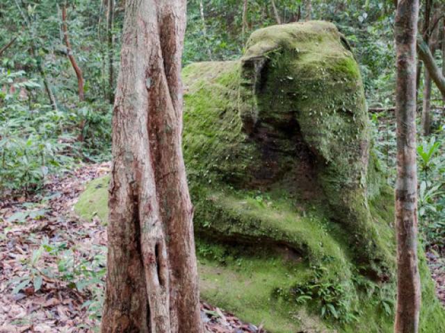 Lộ hàng loạt thành phố trung cổ trong rừng Campuchia