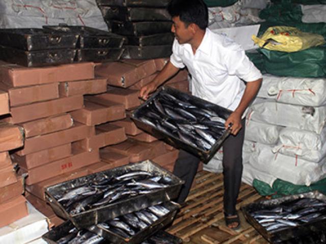 Tin tức trong ngày - Vụ cá nục có phenol: Sẽ phải kiểm nghiệm lại