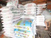 Thị trường - Tiêu dùng - Khó triệt phân bón giả