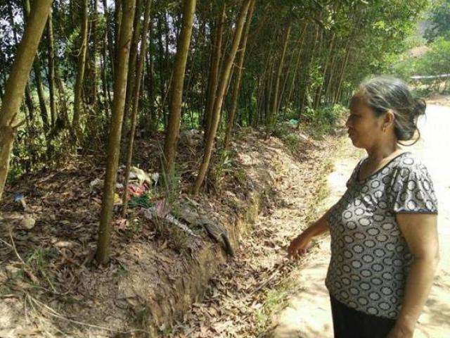 Pháp luật - Mẹ vứt xác con ở bụi rậm có biểu hiện tâm thần