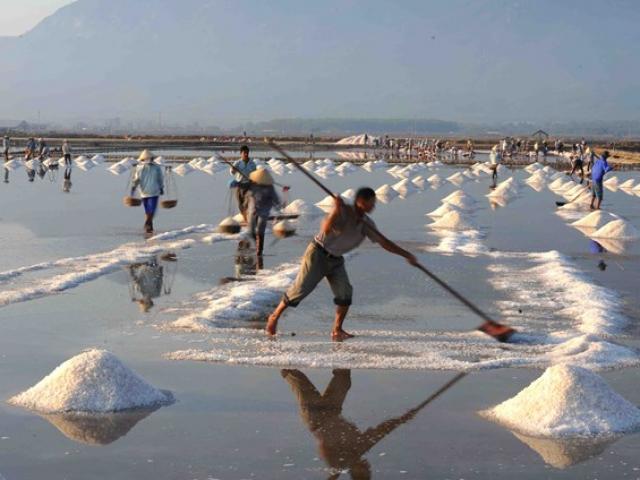 Thị trường - Tiêu dùng - Điệp khúc: Muối thừa, đường thiếu!