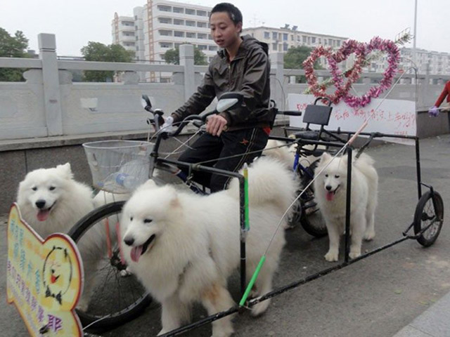 Tranh vui - 15 khoảnh khắc khiến bạn cười "té ghế"