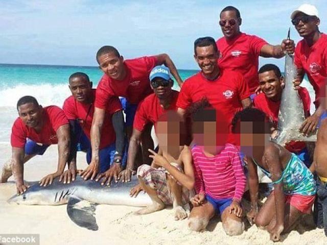 Du lịch - Cá mập chết tức tưởi vì bị du khách lôi lên bờ chụp ảnh