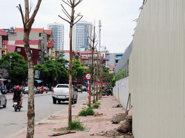 Tin tức trong ngày - Hai tuyến phố “trồng 20 cây xanh sống 1” ở Thủ đô