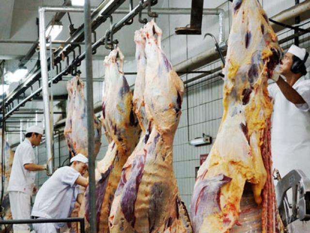 Thị trường - Tiêu dùng - Lo Úc cấm xuất khẩu bò sang Việt Nam