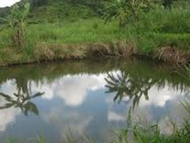 Pháp luật - Một giám đốc bị kẻ bịt mặt bắn trọng thương