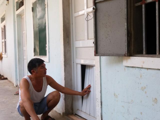 Tin tức trong ngày - Lạ lùng chuyện xây nhà trọ để… nuôi gà ở Nghệ An