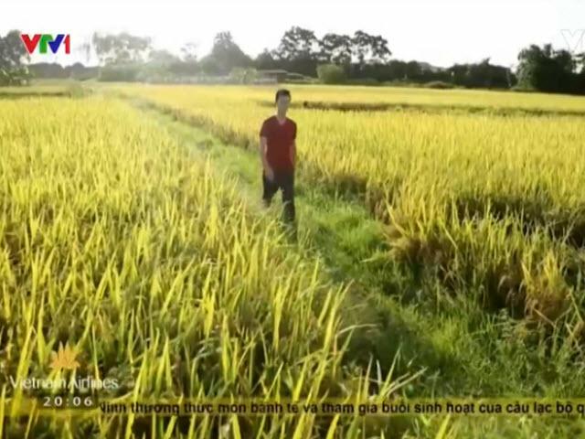 Du lịch - Ngày hè về làng Nghiêm Xá