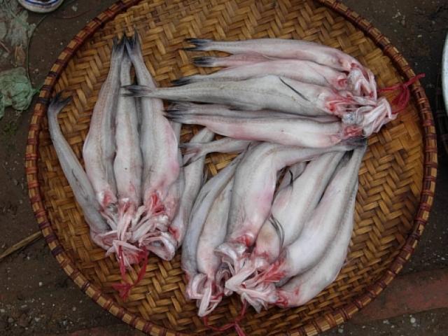 Thị trường - Tiêu dùng - Thực hư cá Khoai ướp bằng "thần dược" bảo quản hoa quả?