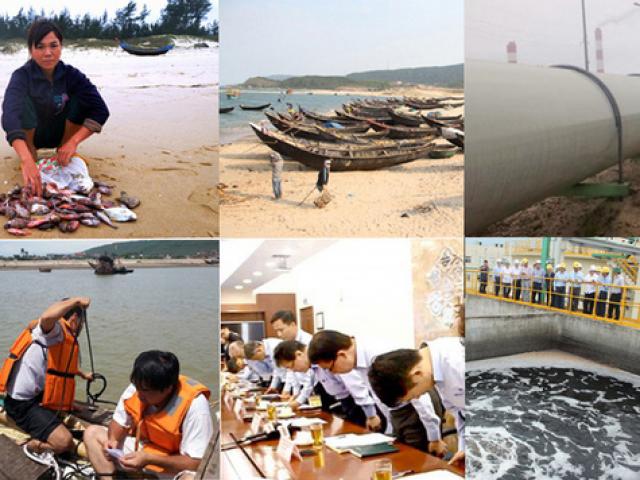 Tin tức trong ngày - Toàn cảnh vụ cá chết hàng loạt ở miền Trung