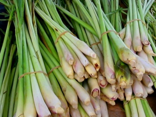 Sức khỏe đời sống - Tin "thần dược" sả tươi trị khỏi ung thư, cụ ông ngày càng suy kiệt