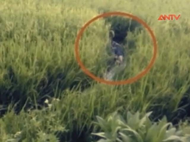 Video An ninh - Hai vợ chồng "dắt nhau" vào tù chỉ vì... cái bẫy chuột (P.Cuối)