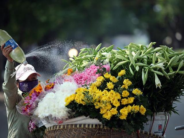 Tin tức trong ngày - Ảnh: Sắc trắng tháng Tư ào xuống phố đón nắng hạ