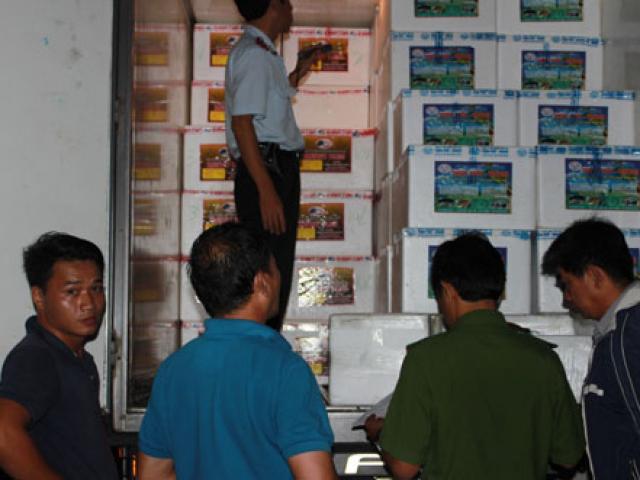 Thị trường - Tiêu dùng - Hàng triệu tôm giống chưa được kiểm dịch tuồn vào Bạc Liêu, Cà Mau