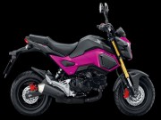 Thế giới xe - Honda MSX125SF mới giá 46,5 triệu đồng cho giới trẻ