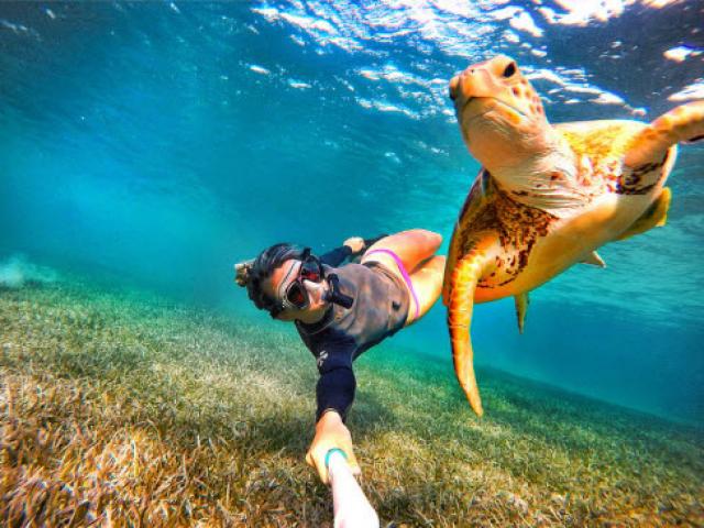 Du lịch - Ghen tỵ với người đẹp đi khắp thế gian, "tự sướng" với động vật