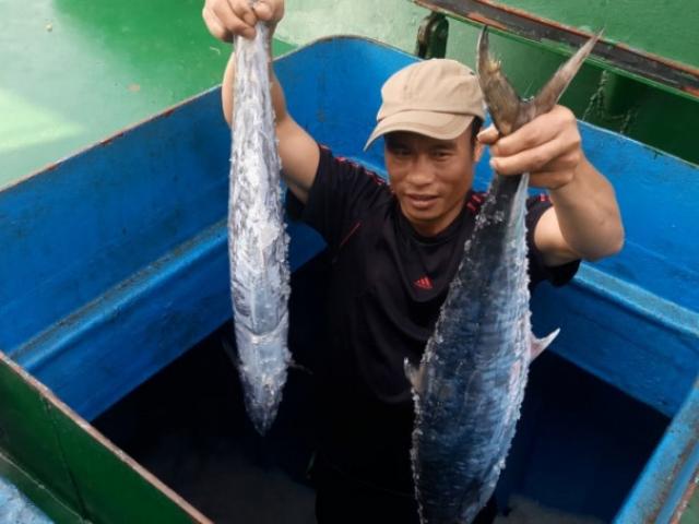 Thị trường - Tiêu dùng - Ngư dân Hà Tĩnh trúng đậm mẻ cá thu giá gần 400 triệu đồng