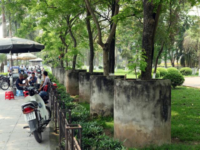 Tin tức trong ngày - Sưa đỏ "chui" ống cống bê-tông trốn "sưa tặc"