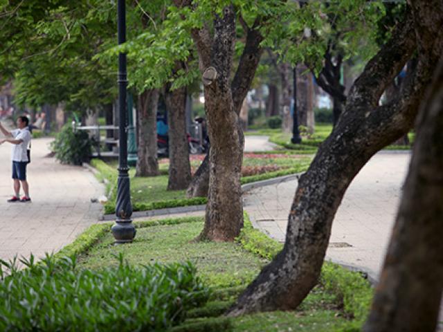 Tin tức trong ngày - Tận thấy những "khối vàng xanh bạc tỷ" trên phố Hà Nội