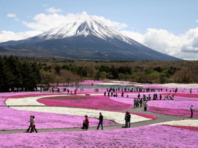 Du lịch - "Bỏ túi" ngay 34 địa điểm đẹp quên lối về ở Nhật Bản