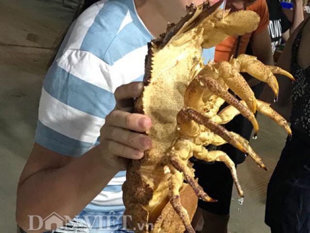 Thị trường - Tiêu dùng - "Vượt mặt" tôm vua, loài tôm đặc biệt này có giá hơn nửa chỉ vàng