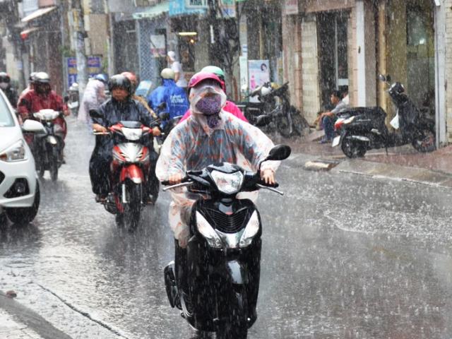 Tin tức trong ngày - “Mưa vàng” đổ xuống SG sau chuỗi ngày nắng cháy da