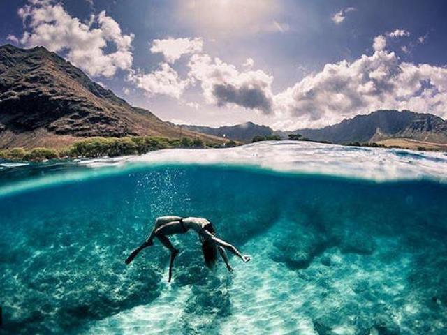 Du lịch - 4 địa điểm du khách có thể bơi cùng cá mập