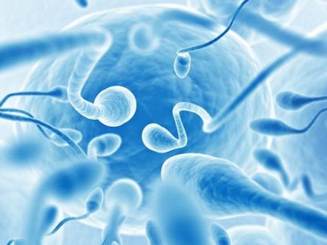 Sức khỏe đời sống - Quý ông tránh thai dễ dàng nhờ một chiếc van đóng - mở