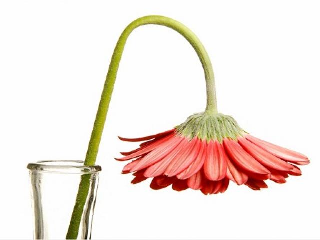 Sức khỏe đời sống - Vì sao nàng bỗng chán "chuyện ấy"?