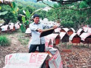 Thị trường - Tiêu dùng - Nuôi con tiền tỷ: Kỳ công như nuôi, luyện “con bay”