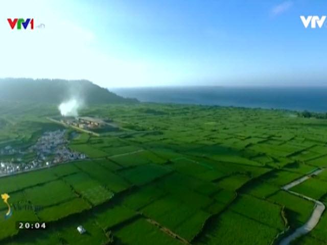 Du lịch - Đi tìm "vàng trắng" giữa thiên đường xanh Lý Sơn