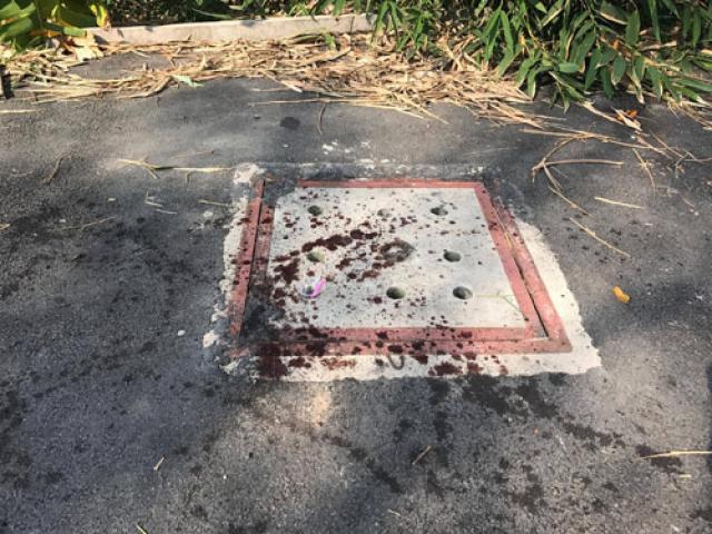 Pháp luật - Xử lý vụ nữ sinh bê bết máu sau hỗn chiến ở Sài Gòn