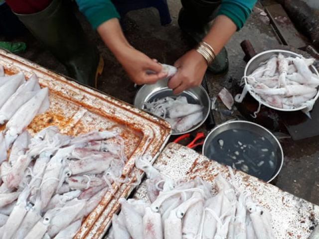 Thị trường - Tiêu dùng - Quảng Trị: Chợ cháy hàng vì người dân đổ xô mua mực