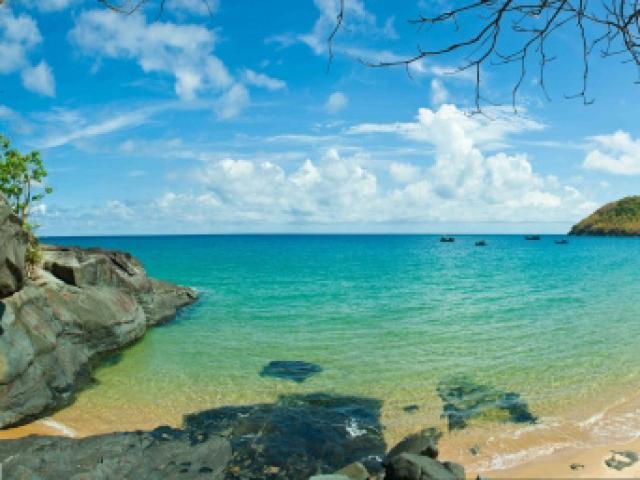 Câu cá biển Đông, khám phá rừng Côn Đảo