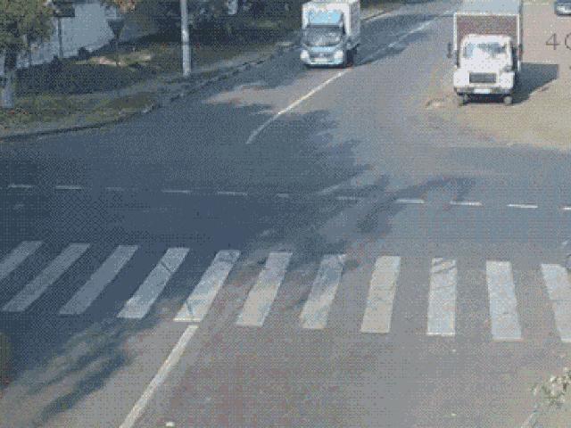 Tranh vui - Ảnh động: Thoát nạn vì... "thần chết" ngủ quên!