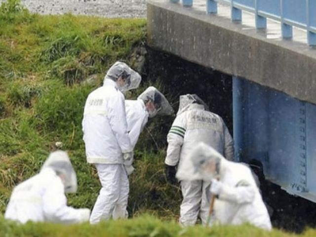 Tin tức trong ngày - Gia đình bé Nhật Linh sốt ruột vì nghi phạm được thả rồi bị bắt lại