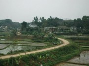 Pháp luật - Mâu thuẫn gia đình bố cho hai con uống thuốc diệt cỏ rồi tự tử